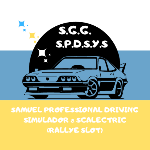 Samuel Professional Driving Simulador & scalectric (Rallye slot)
